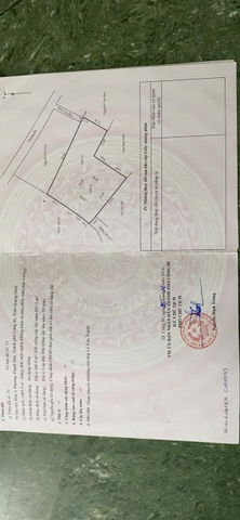 A561 - khu 9 - Quang Trung