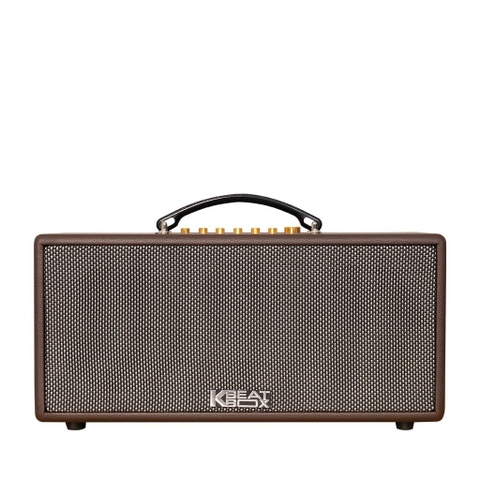 Dàn Âm Thanh Di Động ACNOS CS366PLUS