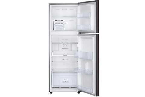 Tủ lạnh Samsung Inverter 236 lít RT22M4032BY/SV