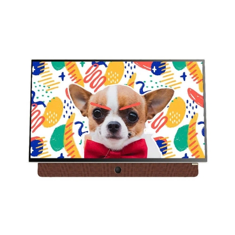 Google TV Skyworth 2K 24 inch 24P6300