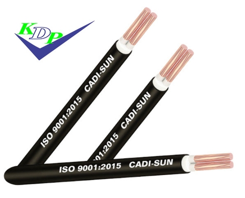 Dây cáp điện CXV 2x10 cadisun