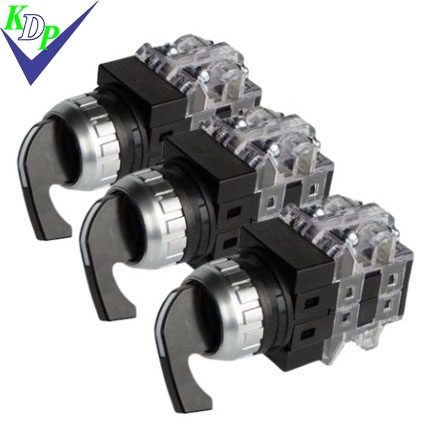 Chuyển Mạch 2Vt Tự Nhả Crsl-252R1 Phi 25 1No+1Nc ( Cần Dài)