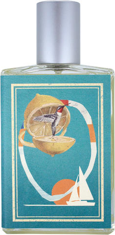 Imaginary Authors Falling into the Sea