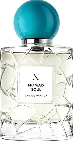 LES SOEURS DE NOE Nomad Soul