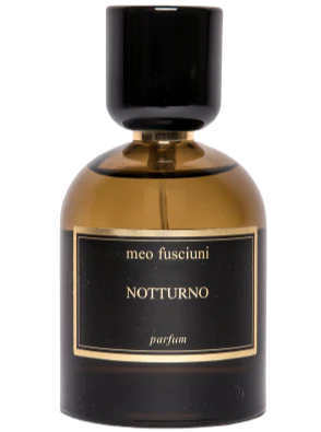 Meo Fusciuni Notturno