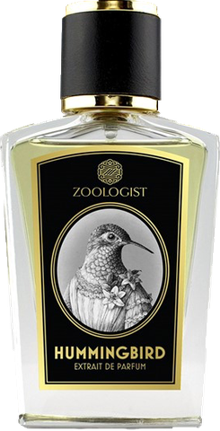 Zoologist Hummingbird