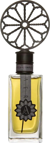 Angela Ciampagna Aer EDP