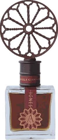 Angela Ciampagna Ignes EDP