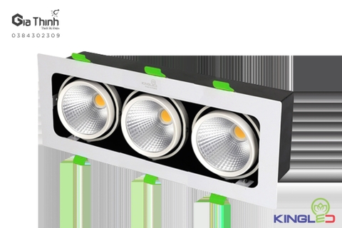 Âm trần 3*10w Kingled (BHDM24T)