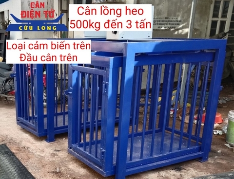 CÂN LỒNG HEO 500kg đến 1TẤN cảm biến trên