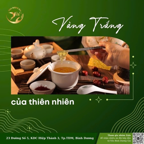 Vì Sao Yến Sào Được Xem Là 