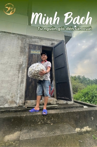 Minh Bạch Từ Nguồn Gốc Đến Sản Xuất