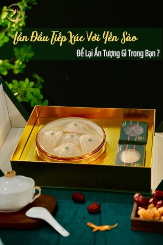 Làn Đầu Tiếp Xúc Với Yến Sào Đã Để Lại Ấn Tượng Gì Trong Bạn?