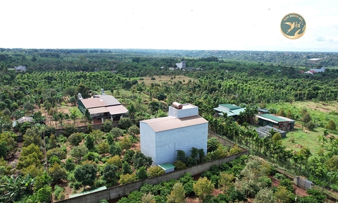 NHÀ YẾN BÌNH DƯƠNG 2 - ĐĂK LĂK