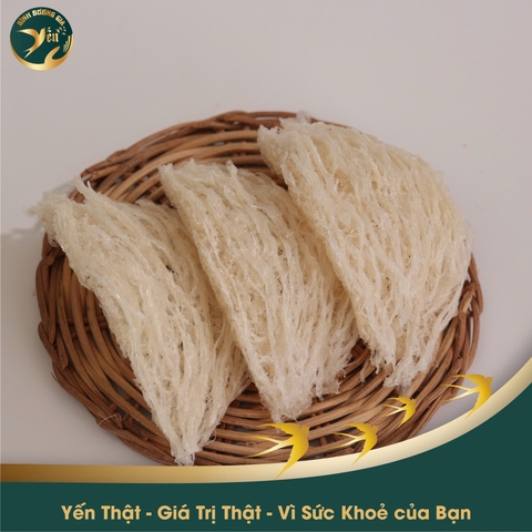 Thượng hạn 100% Sợi