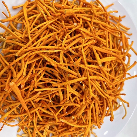 Yến sào Bình Dương Gia | Mô hình 4 trong 1 (Nhà nuôi yến - Sản xuất - Chế biến - Bán hàng) tại Bình Dương