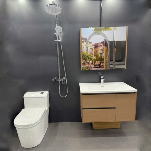 Combo phòng tắm, combo nhà tắm, trọn bộ thiết bị vệ sinh phòng tắm 211