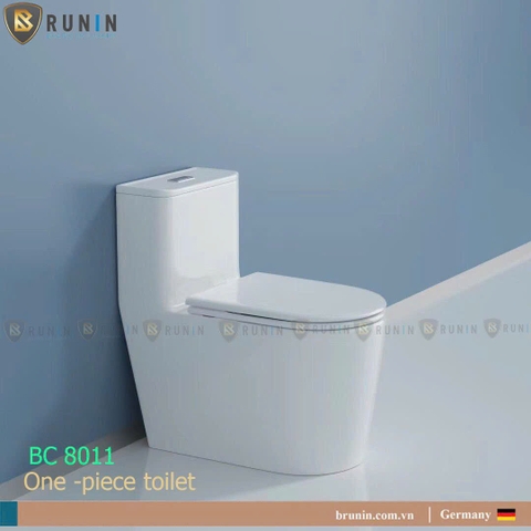 Bồn Cầu Liền Khối BC 8011