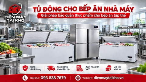 Tủ Đông Cho Bếp Ăn Nhà Máy: Cách Chọn Dung Tích, Số Lượng & Báo Giá