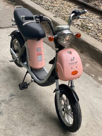 Xe điện Nijia cũ