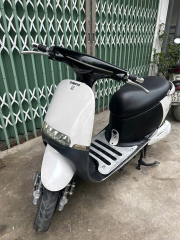 XE ĐIỆN GOGO DIBAO