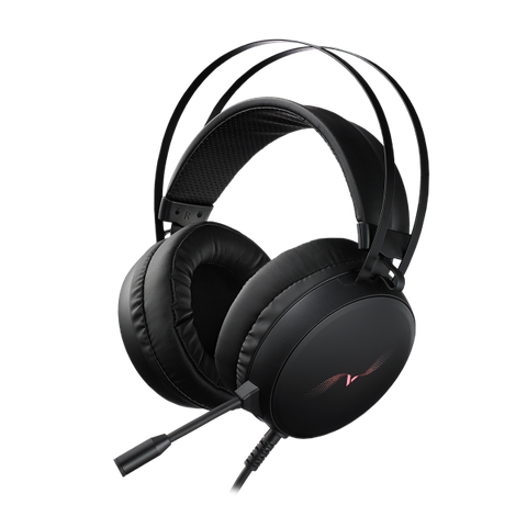 Tai nghe Rapoo VH310