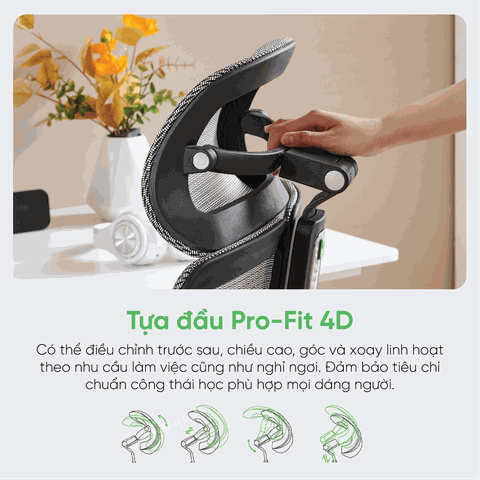Ghế Công Thái Học Upgen Revolution 2025