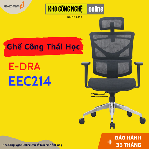 Ghế công thái học E-DRA EEC214