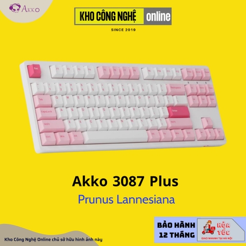 Bàn Phím Cơ AKKO 3087 Plus Black & Cyan | 3087 Plus Prunus Lannesiana (Foam tiêu âm / AKKO CS switch)