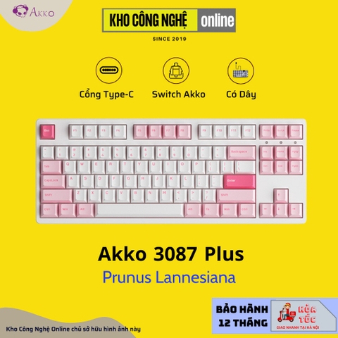 Bàn Phím Cơ AKKO 3087 Plus Black & Cyan | 3087 Plus Prunus Lannesiana (Foam tiêu âm / AKKO CS switch)