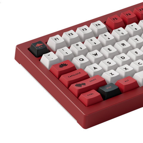 Bàn phím cơ AKKO 5075B Plus Red World Tour Viet Nam