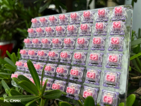 Switch FL-Esports FL-CMMK Cercis Dành Cho Bàn Phím Cơ