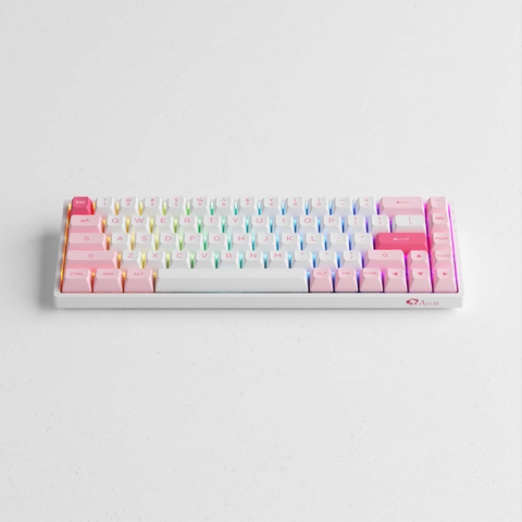 Bàn phím cơ AKKO 3068B Plus Prunus Lannesiana (Multi-modes / Hotswap / Foam tiêu âm / AKKO CS Jelly Pink)