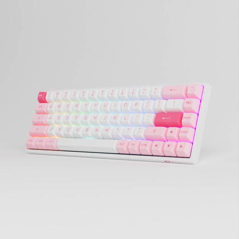 Bàn phím cơ AKKO 3068B Plus Prunus Lannesiana (Multi-modes / Hotswap / Foam tiêu âm / AKKO CS Jelly Pink)
