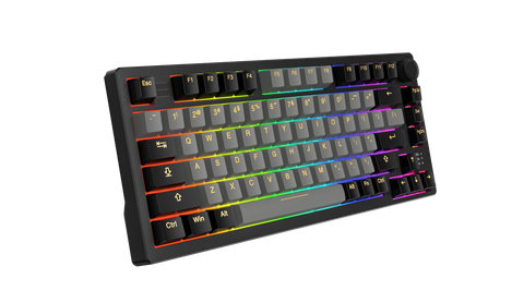 Bàn phím cơ DAREU EK75 PRO BLACK GOLDEN / EK75 Black White (Triple Mode, Gasket Mount, RGB)