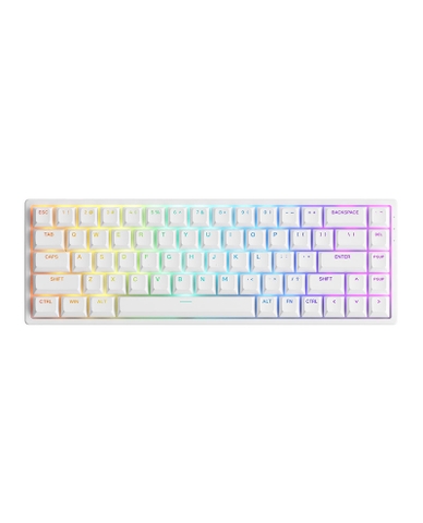 Bàn Phím Cơ AKKO 3068 v2 RGB (Foam tiêu âm / Hotswap / AKKO CS Jelly switch)
