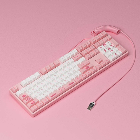AKKO Coiled Cable (Black / White / Pink / Blue)