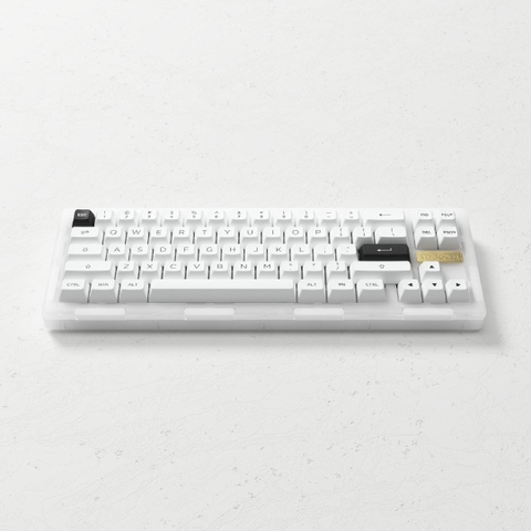 Bàn phím AKKO ACR Pro 75 / ACR Pro 68 (RGB / Hotswap / AKKO CS Crystal / Gasket Mount)