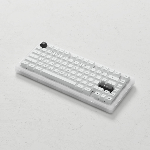 Bàn phím AKKO ACR Pro 75 / ACR Pro 68 (RGB / Hotswap / AKKO CS Crystal / Gasket Mount)