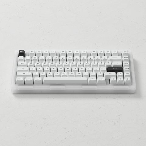 Bàn phím AKKO ACR Pro 75 / ACR Pro 68 (RGB / Hotswap / AKKO CS Crystal / Gasket Mount)