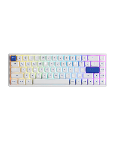 Bàn phím AKKO 3068B Plus (Bluetooth 5.0 / Wireless 2.4Ghz / Hotswap / Foam tiêu âm / AKKO CS Jelly sw)