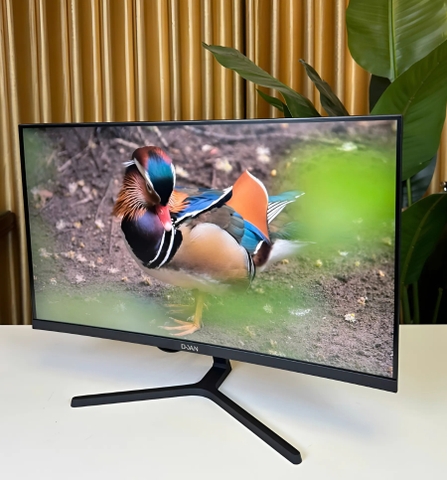 Màn Hình Cong DUAN DT-IP2409H - Black