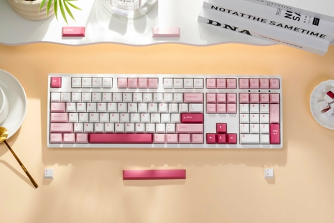 Bàn phím AKKO 3108 V3 Prunus Lannesiana