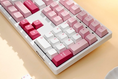 Bàn phím AKKO 3108 V3 Prunus Lannesiana