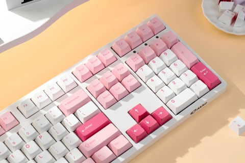 Bàn phím AKKO 3108 V3 Prunus Lannesiana