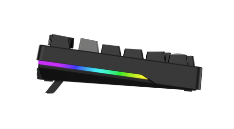 Bàn phím cơ DAREU EK75 PRO BLACK GOLDEN / EK75 Black White (Triple Mode, Gasket Mount, RGB)