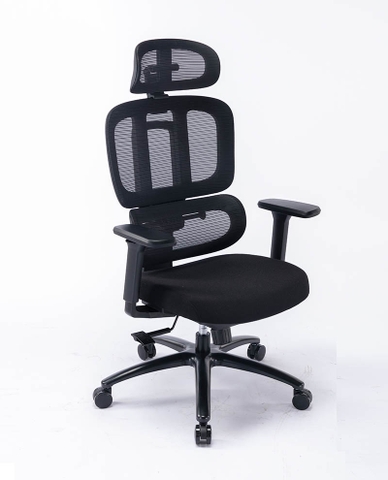 Ghế công thái học ergonomic WARRIOR - WEC502 / WEC502 Plus Black / WEC506 / WEC509