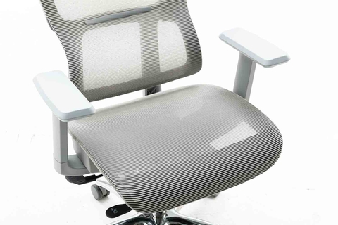 Ghế công thái học WARRIOR WEC506 Gray
