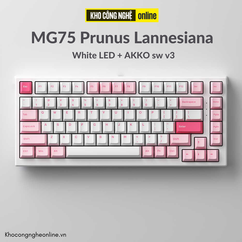 Bàn phím cơ MonsGeek MG75 Prunus Lannesiana (White LED / AKKO sw v3)