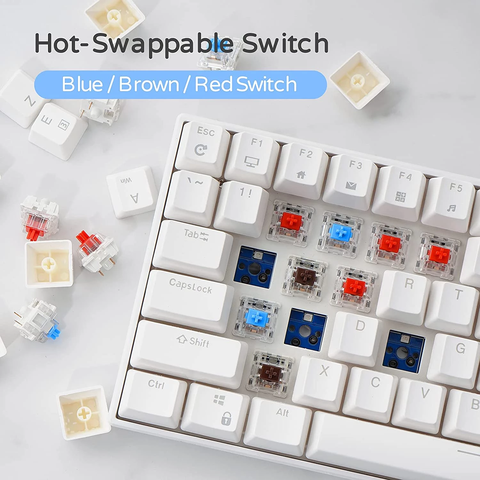 RK100 - Bàn phím cơ bluetooth không dây RK100 Led RGB có Hotswap (Bluetooth 5.0 / Wireless 2.4G / dây Type-c)